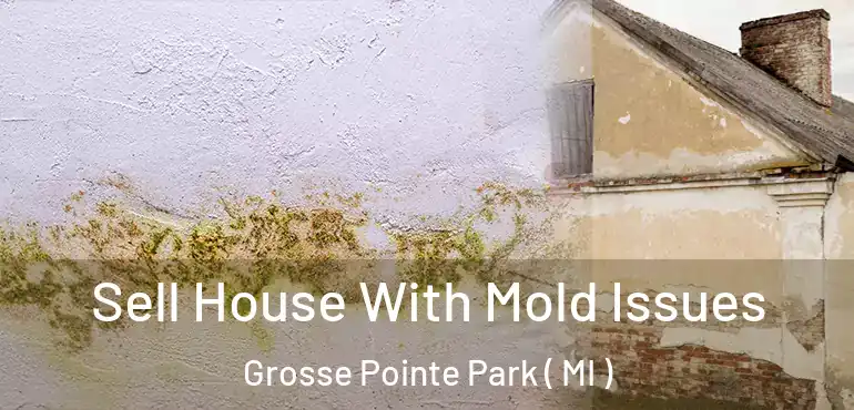  Sell House With Mold Issues Grosse Pointe Park ( MI )