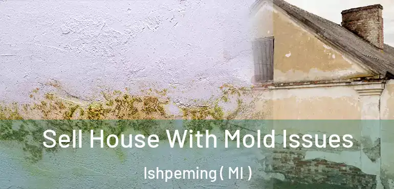  Sell House With Mold Issues Ishpeming ( MI )