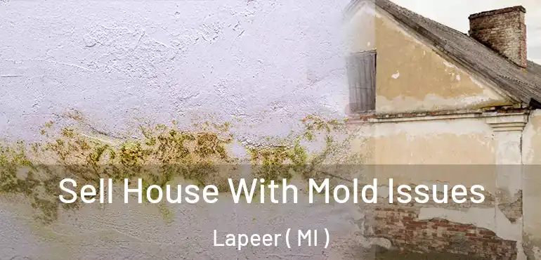  Sell House With Mold Issues Lapeer ( MI )