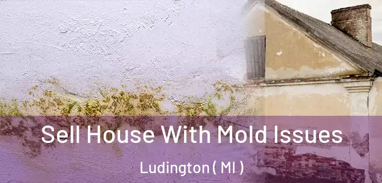  Sell House With Mold Issues Ludington ( MI )