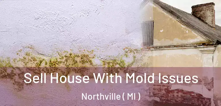  Sell House With Mold Issues Northville ( MI )