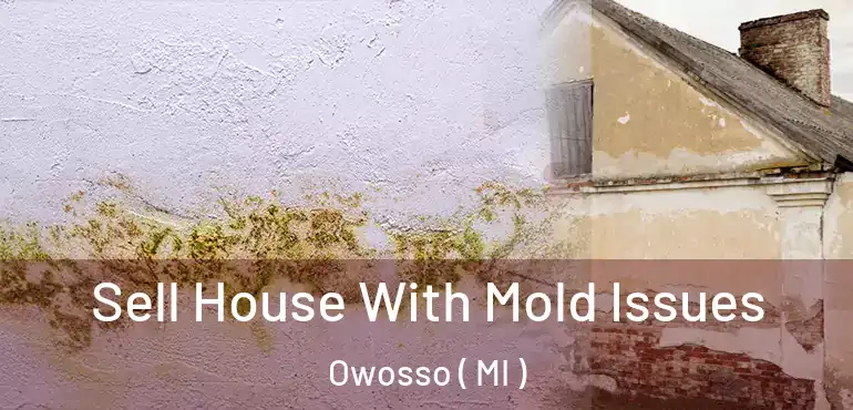  Sell House With Mold Issues Owosso ( MI )