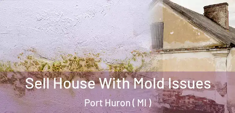 Sell House With Mold Issues Port Huron ( MI )