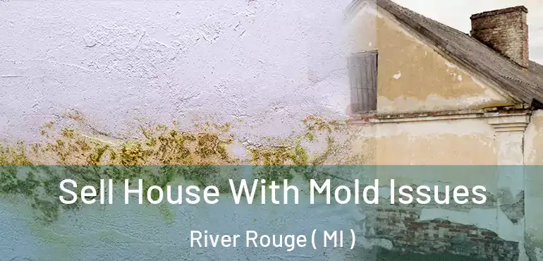  Sell House With Mold Issues River Rouge ( MI )