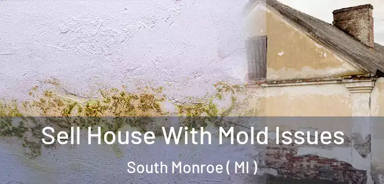  Sell House With Mold Issues South Monroe ( MI )