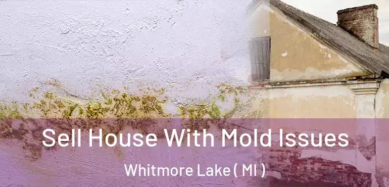  Sell House With Mold Issues Whitmore Lake ( MI )