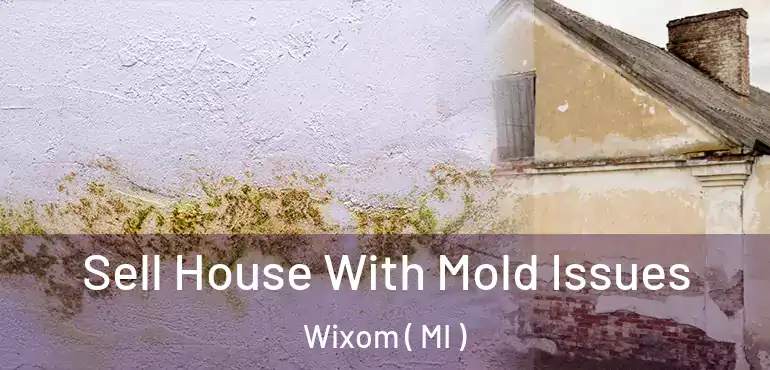  Sell House With Mold Issues Wixom ( MI )