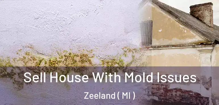  Sell House With Mold Issues Zeeland ( MI )