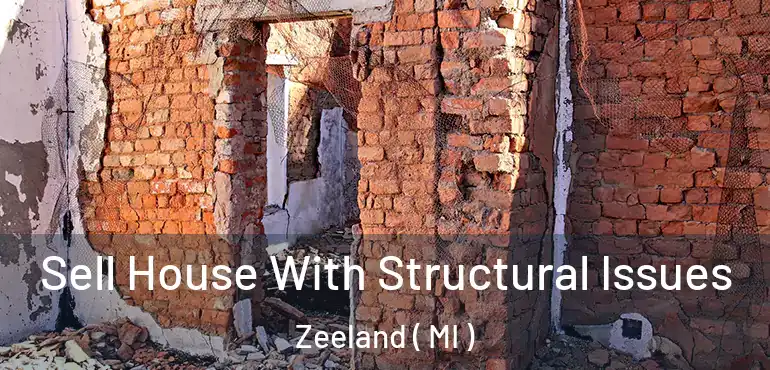  Sell House With Structural Issues Zeeland ( MI )