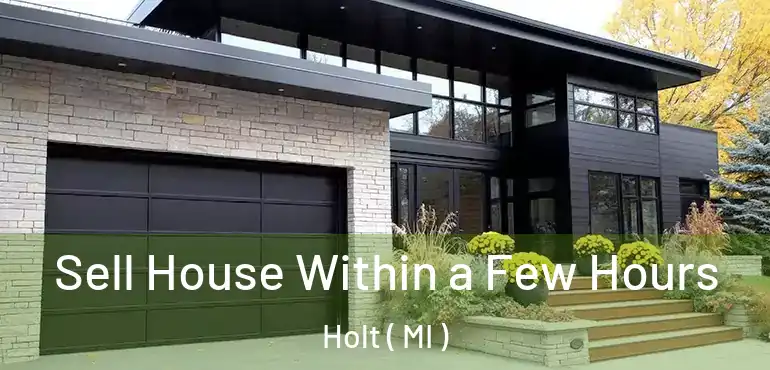  Sell House Within a Few Hours Holt ( MI )