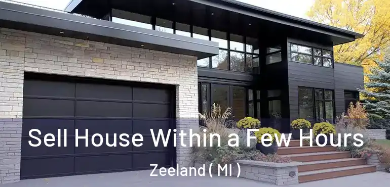 Sell House Within a Few Hours Zeeland ( MI )