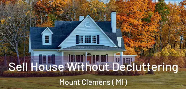  Sell House Without Decluttering Mount Clemens ( MI )