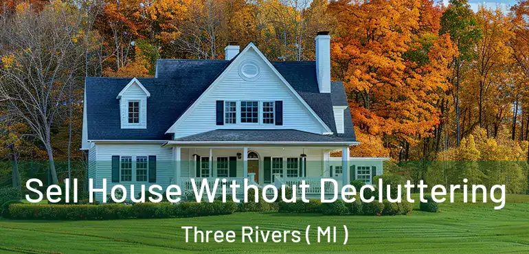  Sell House Without Decluttering Three Rivers ( MI )