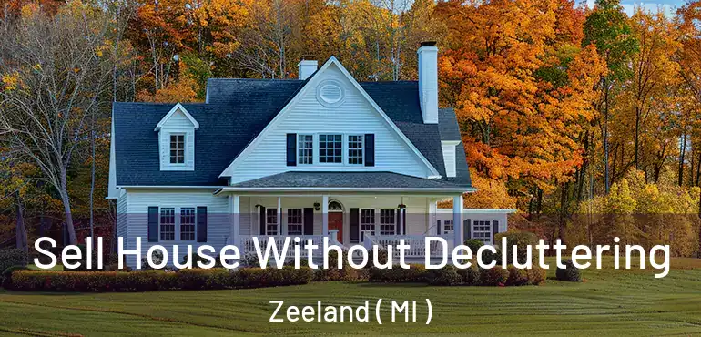  Sell House Without Decluttering Zeeland ( MI )