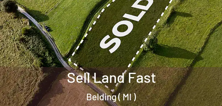  Sell Land Fast Belding ( MI )