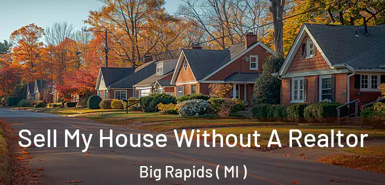  Sell My House Without A Realtor Big Rapids ( MI )