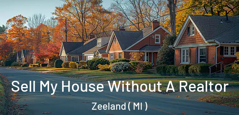  Sell My House Without A Realtor Zeeland ( MI )