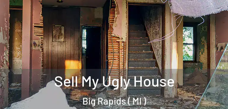  Sell My Ugly House Big Rapids ( MI )