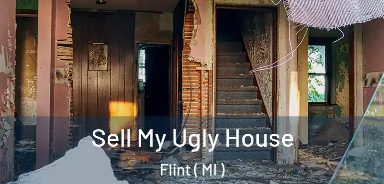  Sell My Ugly House Flint ( MI )