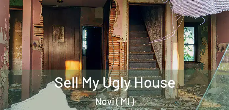  Sell My Ugly House Novi ( MI )