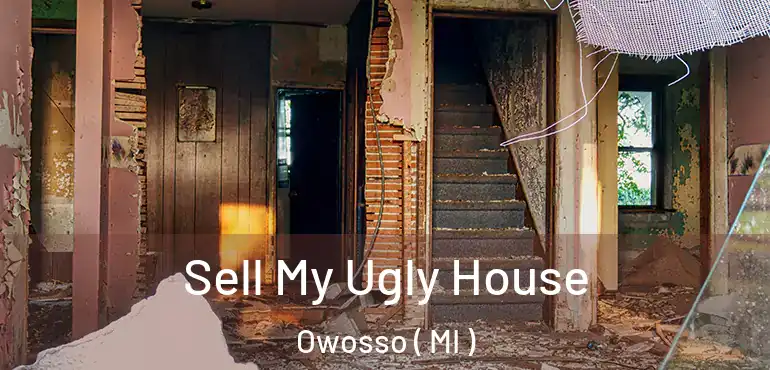 Sell My Ugly House Owosso ( MI )