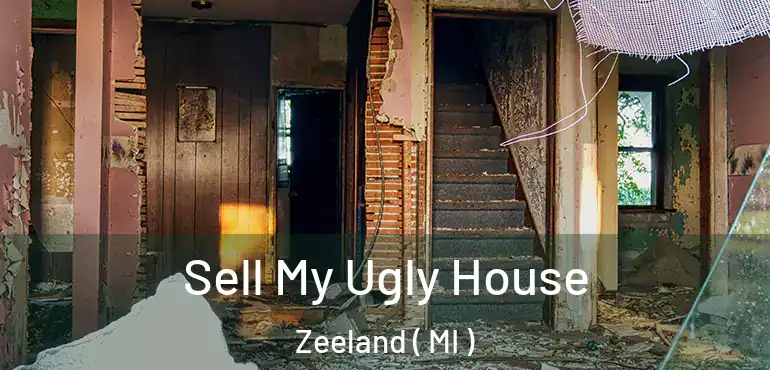  Sell My Ugly House Zeeland ( MI )