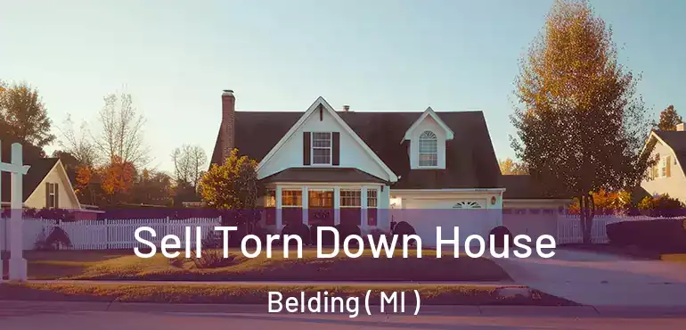  Sell Torn Down House Belding ( MI )