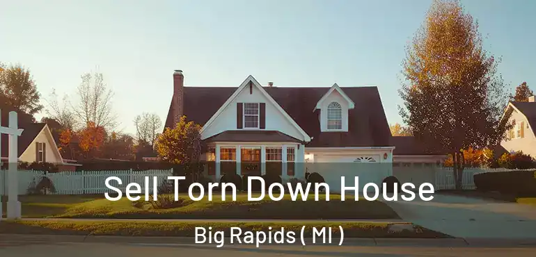  Sell Torn Down House Big Rapids ( MI )