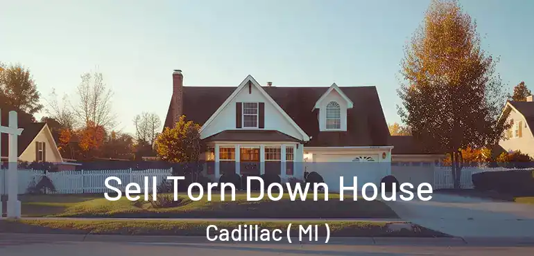  Sell Torn Down House Cadillac ( MI )