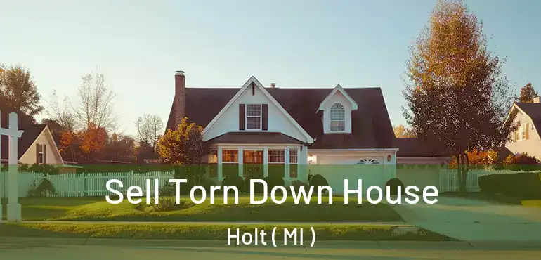  Sell Torn Down House Holt ( MI )