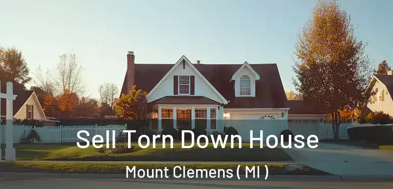  Sell Torn Down House Mount Clemens ( MI )