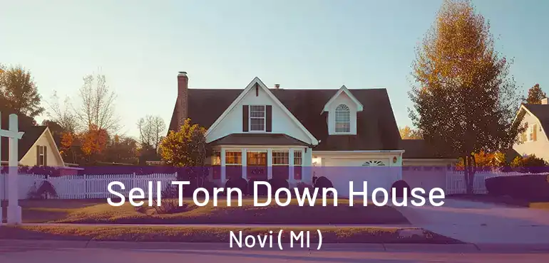  Sell Torn Down House Novi ( MI )