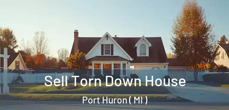  Sell Torn Down House Port Huron ( MI )